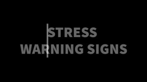 Stress Mastery Questionnaire (SMQ)