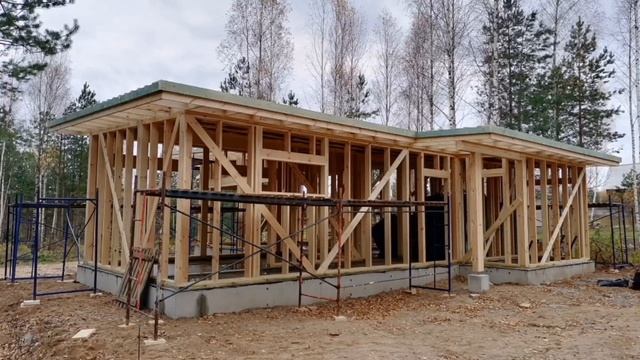 Каркасный дом с фасадом из лиственницы