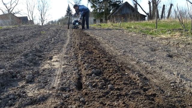 Грядка на суперфрезах / ЛопЛош / Мотокультиватор смотреть онлайн