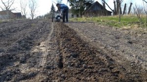 Грядка на суперфрезах / ЛопЛош / Мотокультиватор