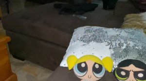 The Powerpuff Girls watch the THX logo