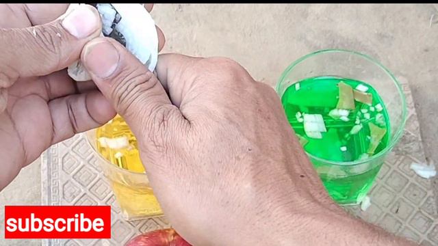 unique experience of growing apples and oranges in the garden using a new method. смотреть онлайн