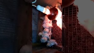 Восемь часов без света инкубатор...результат
