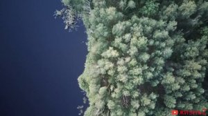 Мертвое озеро круглое озеро пенза жизньZ