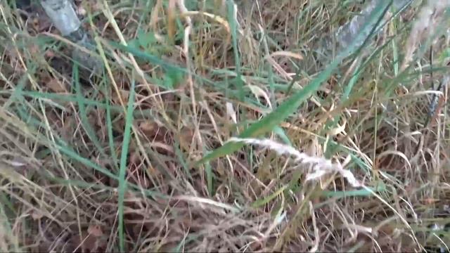 В ЗАБЫТУЮ ДЕРЕВНЮ ЗА МЕТАЛЛОМ! смотреть онлайн