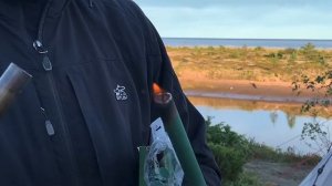 Стоп кровососам - обзор Стержней ДЭТА и Раптор от комаров
