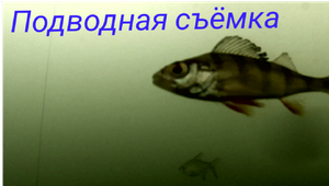 подводные сьемки на рыбалке
