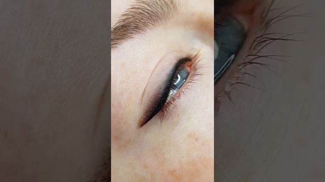 Стрелка классическая плюс растушевка cat eyes мастер Александра Андриюк