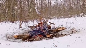 ПЕНИЕ ПТИЦ.БЕССТРАШНАЯ ПТИЦА.ТРЕСК КОСТРА. #музыкадлясна