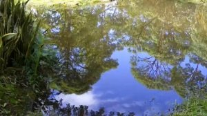 Неожиданные продукты, повышающие холестерин