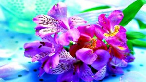 Очень красивая восточная песня !!