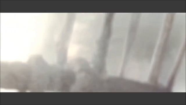 Свидетельство Огюста Пиккара о виде Земли с 16 км