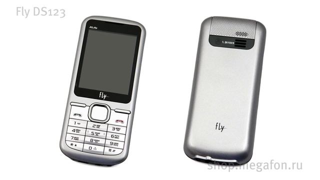 Fly DS123