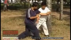 Мастер Сюй Шиси демонстрирует технику опрокидываний из багуа чжан и тайцзи цюань. Часть 1.