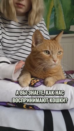 А вы знали об этом? #животные #котики #интересно