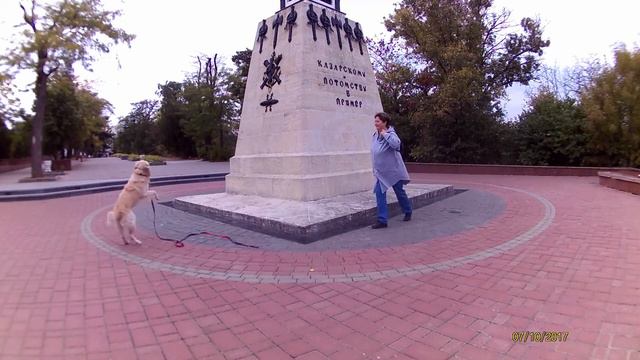 Ленивый день. смотреть онлайн