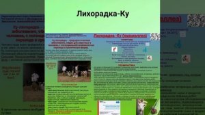 О мерах профилактики природно-очаговых заболеваний