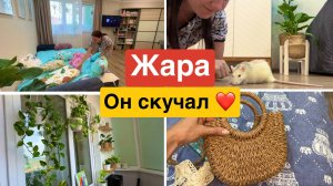 Мы дома / Что с ценами ? Уборка / Организация и хранение .