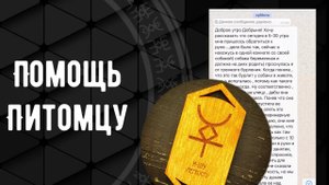 Руна Легкость. Помощь питомцу. Русские руны