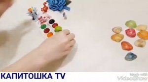 РАСКРАШИВАЕМ РАКУШКИ И УЧИМ ЦВЕТА?КАПИТОШКА TV?
