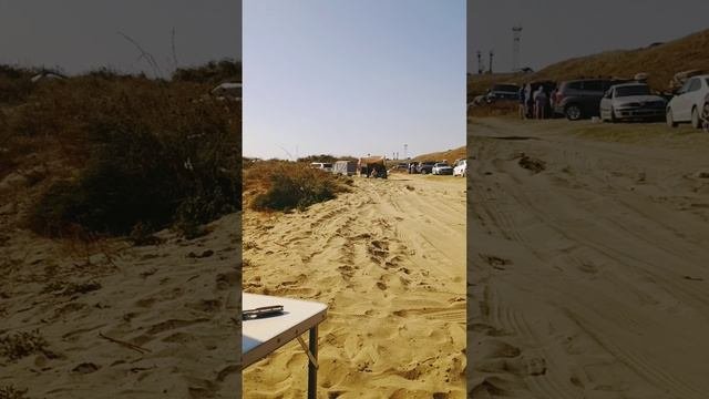 Бархатный сезон на Черном Море, разгаре! Благовещенская