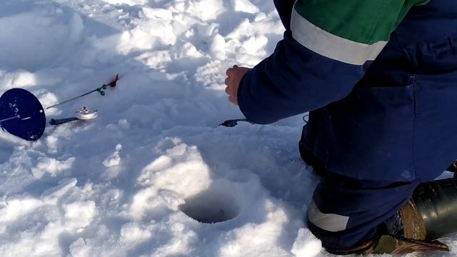 Рыбалка в глухозимье. Клюёт ли щука в полнолуние?