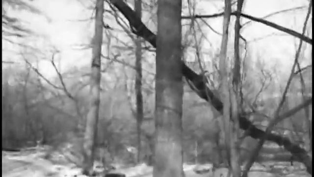 прощёное воскресенье смотреть онлайн