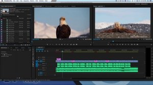 Export a Premiere Project using FCP XML for opening in an older version of Premiere