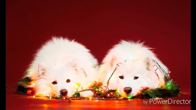 Скоро Новый Год!Подпишись на Настя Потатуркина смотреть онлайн