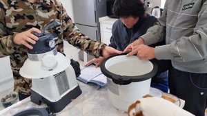 По совету зрителей купили большой песочный фильтр для бассейна и перекись водорода