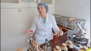 Живые кисло- молочные продукты. Лактобифидобактерии.