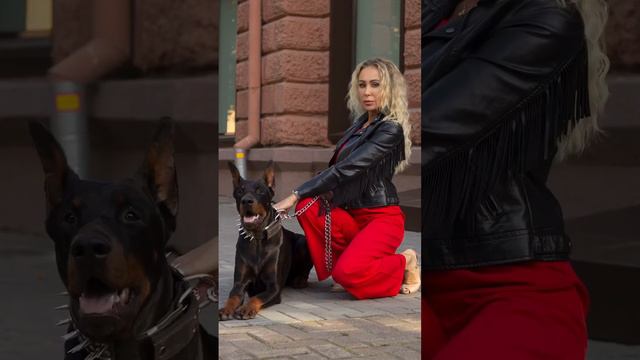 Как вам собачка? #рабочиемоменты #рабочийпроцесс #фотосессия #фотосьемка #доберманы