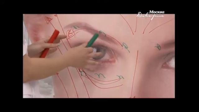 Массажные линии