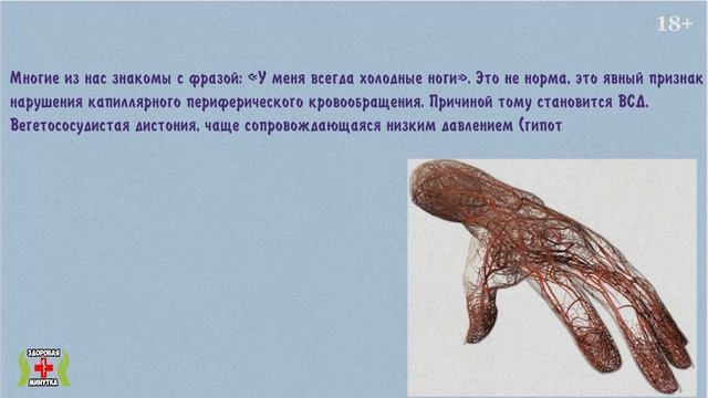 10 причин почему вы мерзнете даже в теплое время года