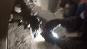 Замена переднего ступичного подшипника гранта