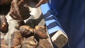 Мальдивские острова. Золотой глобус - 91