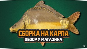 Обзор у магазина #2 • Карпфишинг 2020 • Сборка для Медвежки и Янтарного • Driler - Русская Рыбалка 4