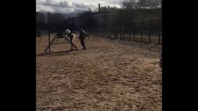 Как нарисовать самоеда? смотреть онлайн