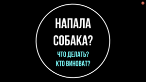 Напала собака? Кого и как привлечь к ответственности? Рассказывает юрист | Юрхакер