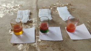 Как собрать семена с помидор? собираем семена в домашних условиях.