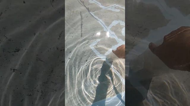 Как почистить дно бассейна простым способом, подручными средствами без замены воды. смотреть онлайн