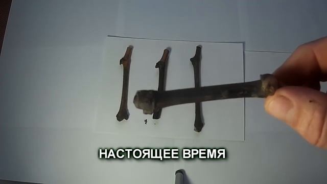 Посадка черенков винограда «вверх ногами».  Окончательный результат.