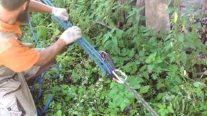 валка дерева с помощью полиспаста