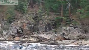 Светлана. Лодочный мотор Longtail SPS-9ZSS.Часть 1.