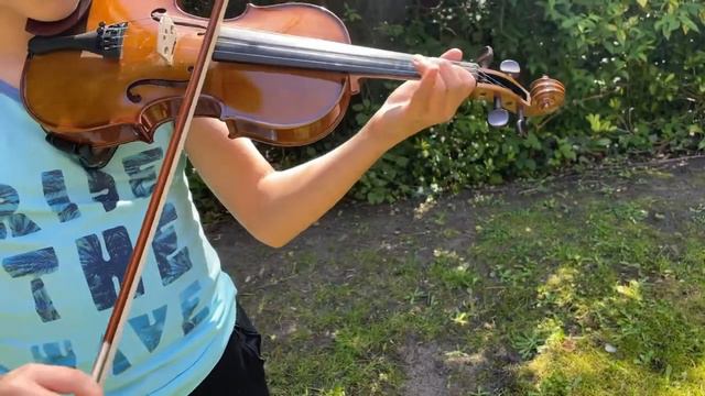Full size violin Stentor