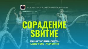 Сорадение: сингулярность