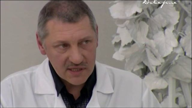 Как помирить свекровь с невесткой смотреть онлайн