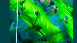 Винперл Лэнд Фукуок | Vinpearl Land Phu Quoc | Парк развлечений Фукуок