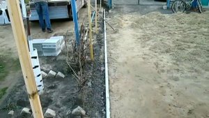 ТРОТУАРНАЯ ПЛИТКА | Немного про укладку