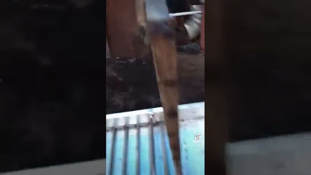 Мини драга смотреть онлайн